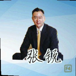 张锐